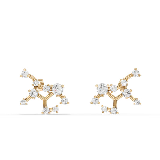 Virgo Zodiac Round Diamond Earring