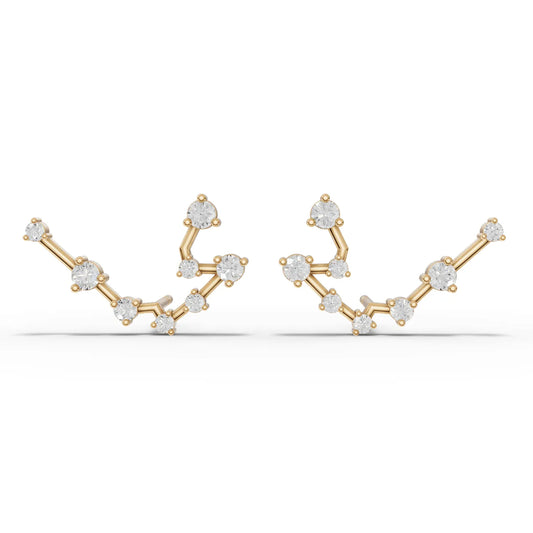 Aquarius Zodiac Round Diamond Earring