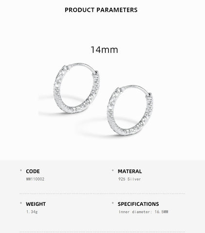 Classic Hoops Earrings