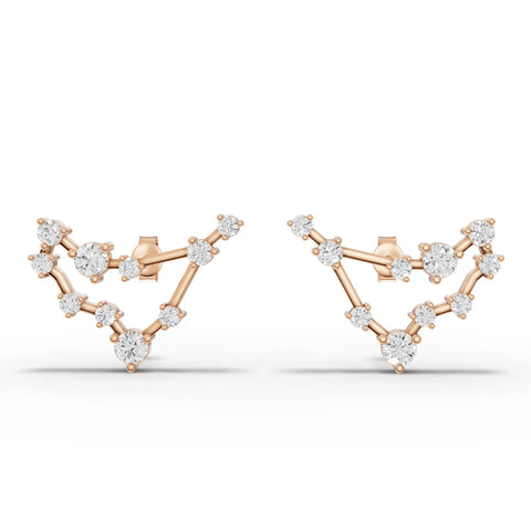Capricon Zodiac Round Diamond Earring