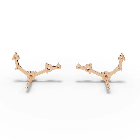 rose gold 1