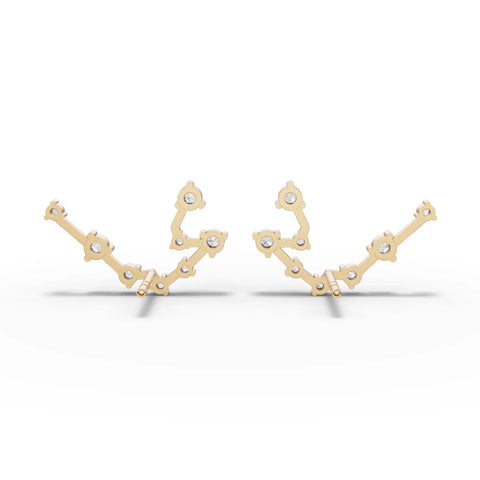 Aquarius Zodiac Round Diamond Earring