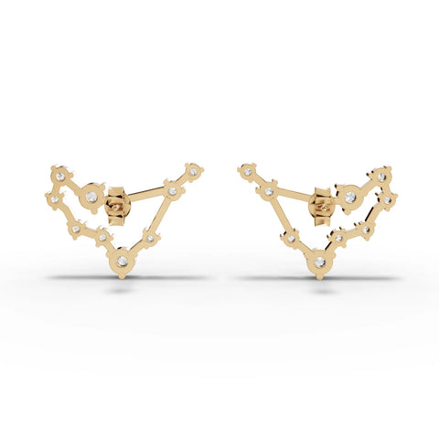 Capricon Zodiac Round Diamond Earring